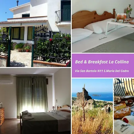 Bed & Breakfast La Collina Santa Maria Del Cedro