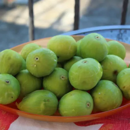 לינה וארוחת בוקר La Collina סנטה מריה דל צ'דרו