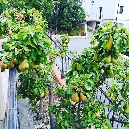 فندق مبيت وإفطار La Collina سانتا ماريا ديل سيدرو